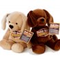 Beddy Puppies