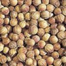 Coriander 10 ml