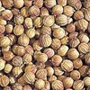 Coriander 10 ml
