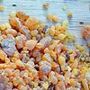 Frankincense 10 ml
