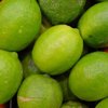 Lime - cold pressed 10 ml