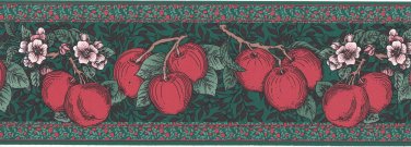 D W Wallcovering Border 0113 Apples Blossoms Dark Green Red 3.75 in x 4 yards Fruit