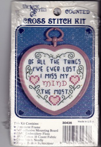 Counted Cross Stitch Kit Of all The Things I've Lost 30436 New Berlin
