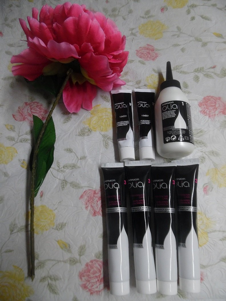 Garnier Olia Hair Bleach Kit
