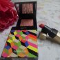 Bobbi Brown Golden Rose Glow Highlighter & Luxe Matte Lip Color Bold Nectar