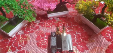 CHANEL Intense Matte Lip Colour 98 And LANCOME Precious Holiday LipColour 525 Crystal Sunset
