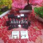 DIOR Rouge Dior Lipstick Set - 999 Matte, 999 Satin, 999 Satin Balm And 999 Metallic