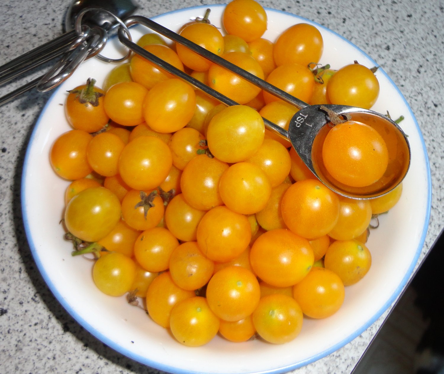 BLONDKOPFCHEN Tomato ( Solanum lycopersicum ) - 15 seeds ...