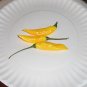 HOT LEMON Pepper ( Capsicum baccatum ) - 15 seeds  ~gemsandstems.info~