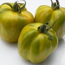 Artisan GREEN BELL PEPPER Tomato ( Solanum lycopersicum ) - 15 seeds  ~gemsandstems.info~