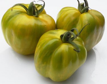 Artisan GREEN BELL PEPPER Tomato ( Solanum lycopersicum ) - 15 seeds  ~gemsandstems.info~