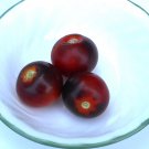 Artisan BABY BLUE Tomato ( Solanum ) - 15 seeds  ~gemsandstems.info~