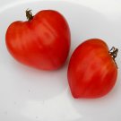 Heirloom JAPANESE OXHEART Tomato ( Solanum lycopersicum ) - 15 seeds  ~gemsandstems.info~