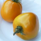 Heirloom MOONGLOW Tomato ( Solanum lycopersicum ) - 15 seeds  ~gemsandstems.info~