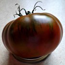 Heirloom PAUL ROBESON Tomato ( Solanum lycopersicum ) - 15 seeds  ~gemsandstems.info~