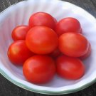 PRINCIPE BORGHESE Tomato ( Solanum lycopersicum ) - 15 seeds  ~gemsandstems.info~