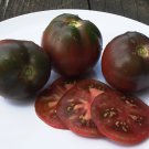 Artisan GYPSY Tomato ( Solanum ) - 15 seeds  ~gemsandstems.info~