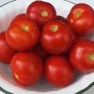 Artisan TATJANA Tomato ( Solanum  ) - 15 seeds  ~gemsandstems.info~