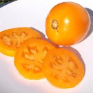 Heirloom COASTAL PRIDE ORANGE Tomato ( Solanum ) - 15 seeds  ~gemsandstems.info~