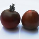 Heirloom BLACK PRINCE Tomato ( Solanum ) - 15 seeds  ~gemsandstems.info~