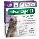Bayer Advantage II Flea Control Treatment for Cats, over 9 pounds, 4-month