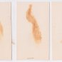 Real Bird Feather Greeting Cards MEXICO Christmas Feliz Navidad VINTAGE 9 cards