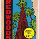 VINTAGE TRAVEL DECAL CALIFORNIA REDWOODS WORLD'S TALLEST TREE AUTOMOBILE