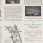 SILVER SPRINGS FLORIDA ADVERTISING BROCHURE Natures Underwater Fairyland Vintage