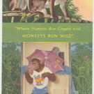 Monkey Jungle Miami Florida Vintage Ad Flyer Paper RARE "America's Only" Chimps