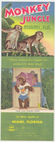 Monkey Jungle Miami Florida Vintage Ad Flyer Paper RARE "America's Only" Chimps