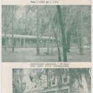 Suwannee River Jungle Drive Vintage Florida AAA Brochure 1950s Auto Tri Fold