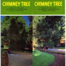 Chimney Tree Northern California Vintage Brochure Early 1980s
