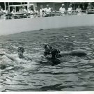 Aquarama Aquarium Theater of the Sea Pennsylvania Pilot Whale & Photograph 1960s
