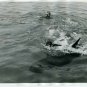 Aquarama Aquarium Theater of the Sea Man & Pilot Whale Official Photograph 1960s