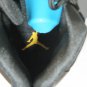 Jordan 11 Gamma