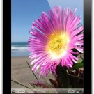 Apple iPad MC707LL-A (3rd Gen) 64GB with Wi-Fi -(Black)