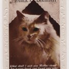 #22  Birthday Cat Embossed Glossy real photograph  Vintage Postcard ( used )