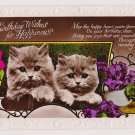 #24  Birthday Cat Embossed Glossy real photograph  Vintage Postcard ( used )