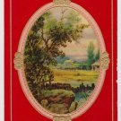 #27 Birthday  Vintage Postcard ( used )