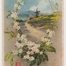 #36  Embossed Birthday Postcard ( used )