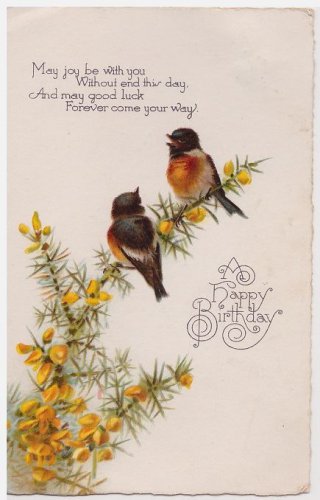 #40    Birthday Postcard birds  ( used )