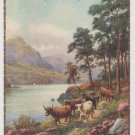 #56 Many Happy Returns Card Vintage Postcard (used)