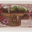 #100 Birthday embossed glossy  real photograph postcard   used
