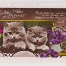 #104 Birthday cats embossed glossy real photograph  postcard   used