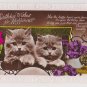 #104 Birthday cats embossed glossy real photograph  postcard   used