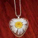 Real White Daisy Heart Pendant Necklace
