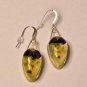 Real Viola Dangle Earrings