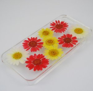 Red White Daisy Yellow Daisy Case for Iphone 5/5s
