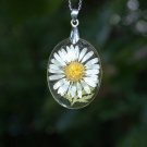 Real Daisy Pendant Floral Necklace