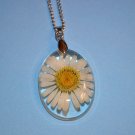 Real White Daisy Pendant Floral Necklace